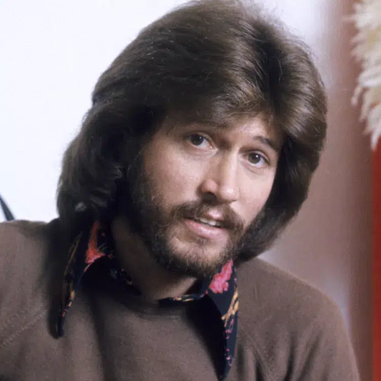 70s Hairstyle Ideas for Men