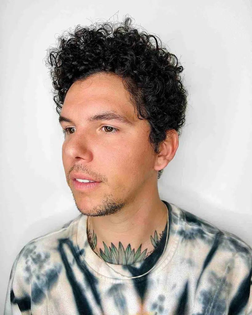 Short Curly Hairstyle Idea for Men