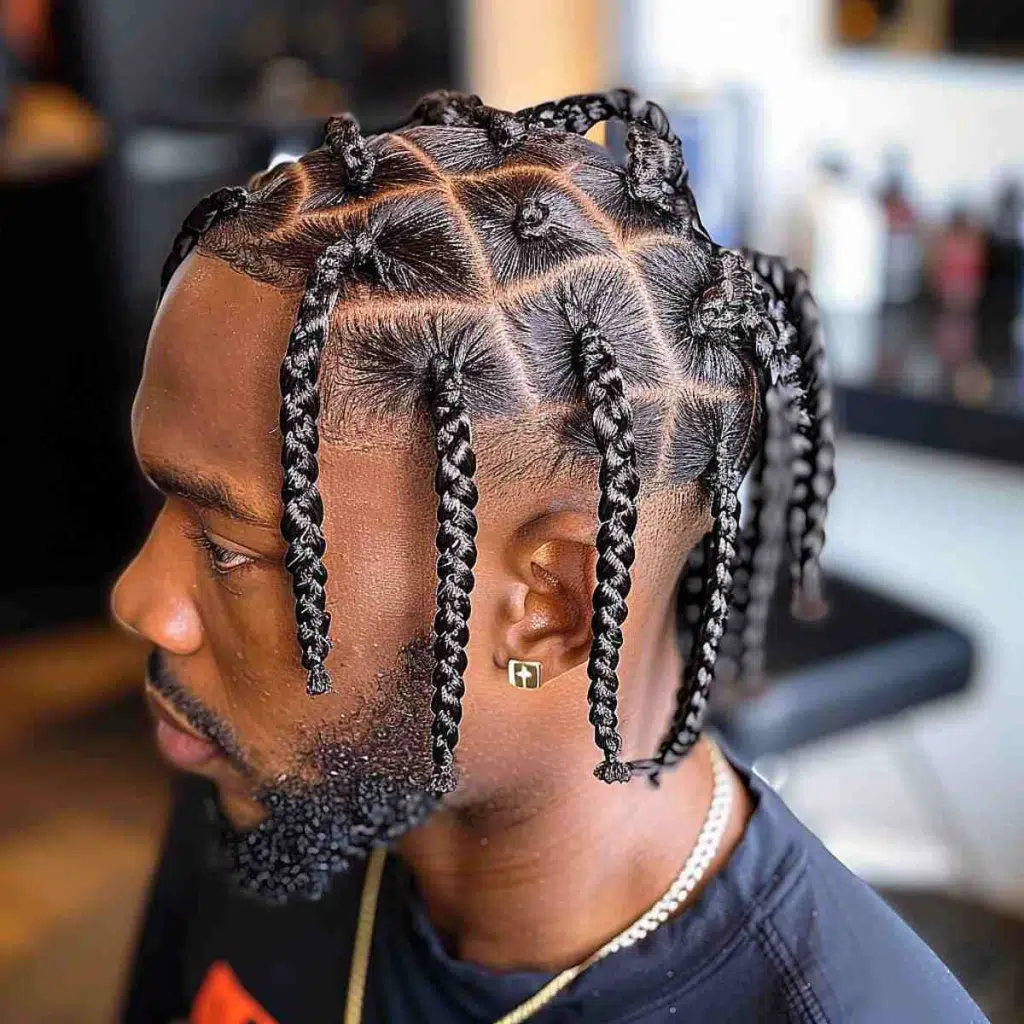 Black Men Braid Hairstyle Idea