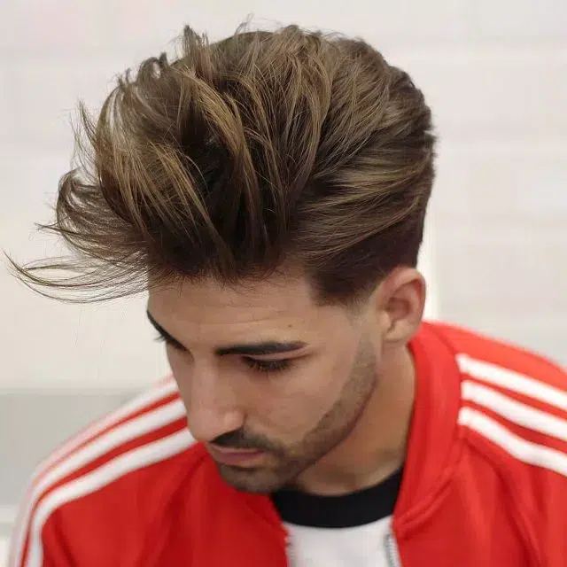 Fall Hairstyle for Men