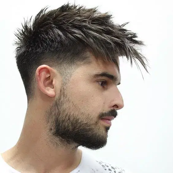 Fall Hairstyle for Men