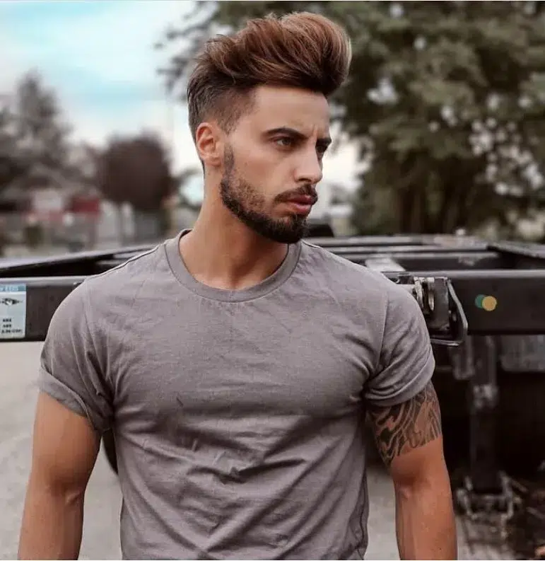 Fall Hairstyle for Men