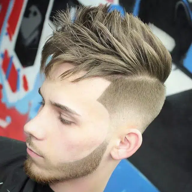 Fall Hairstyle for Men