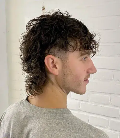 Wolf Haircut Idea for Men